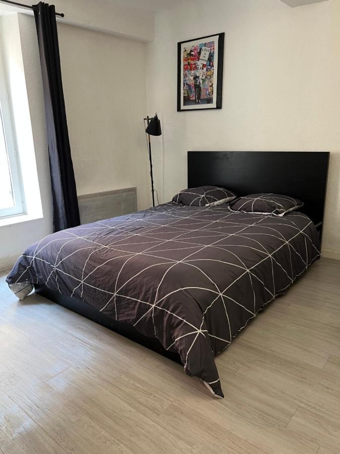 Studio Cosy Au Coeur Du Centre Ville Mâcon Esterno foto