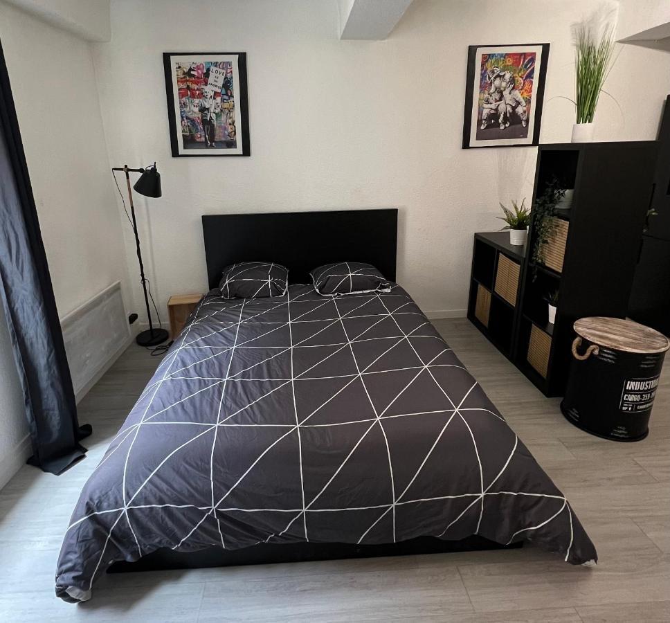 Studio Cosy Au Coeur Du Centre Ville Mâcon Esterno foto